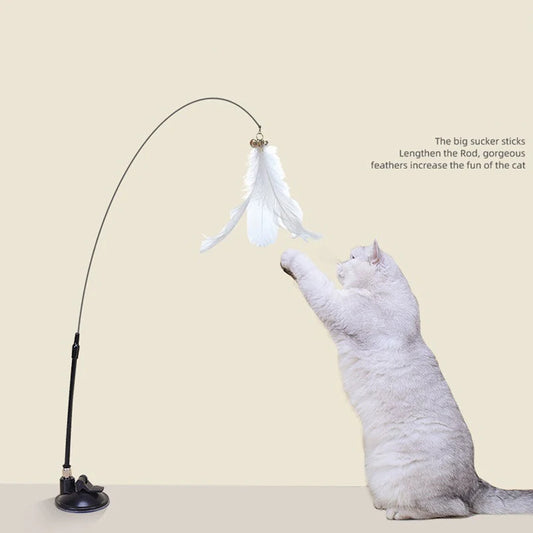Super Suction Kitten Toy