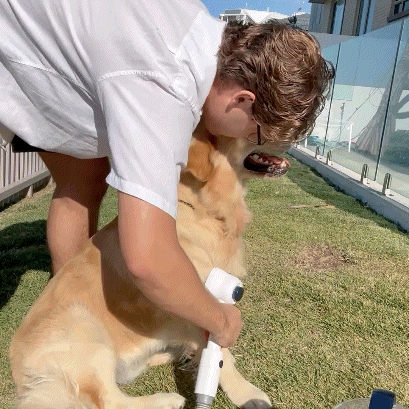 Pets&We™ Pet Grooming Vacuum Kit
