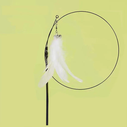 Super Suction Kitten Toy