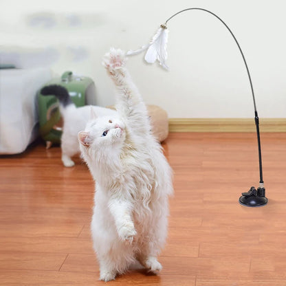 Super Suction Kitten Toy