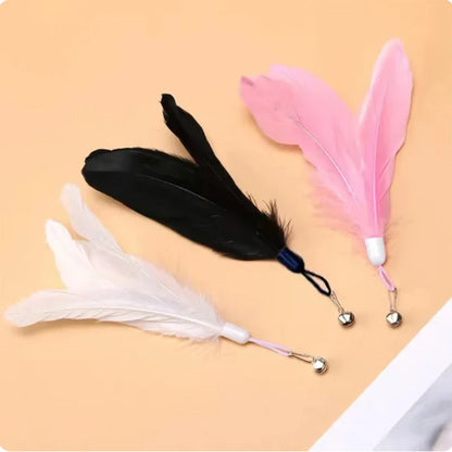Super Suction Kitten Toy