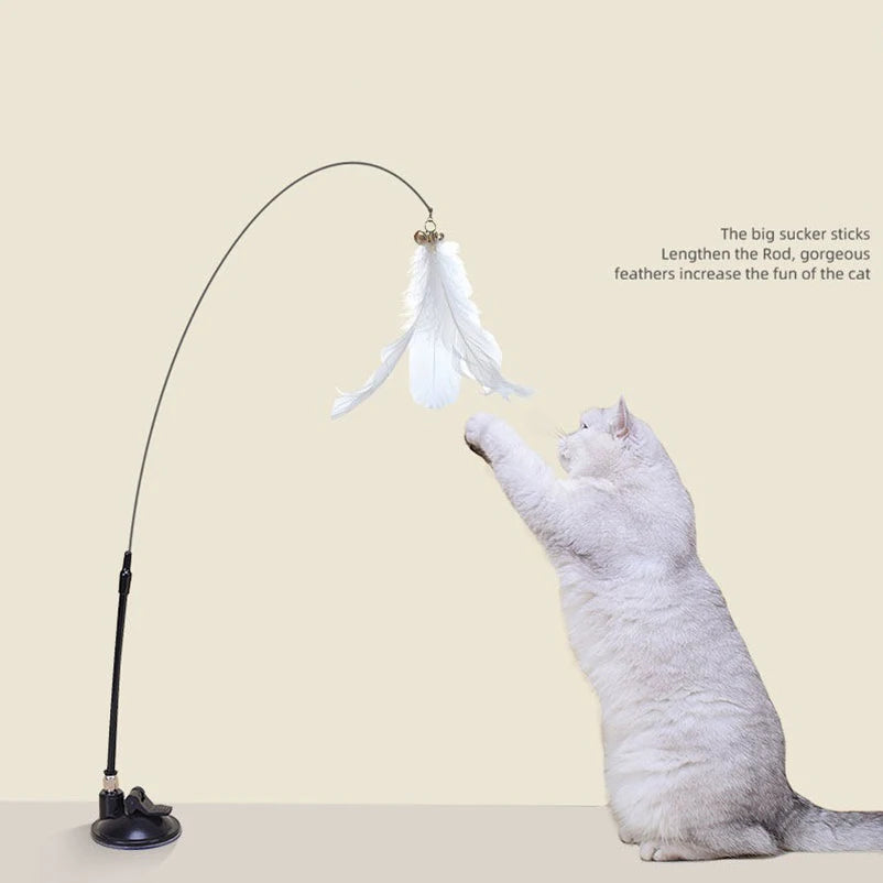 Super Suction Kitten Toy