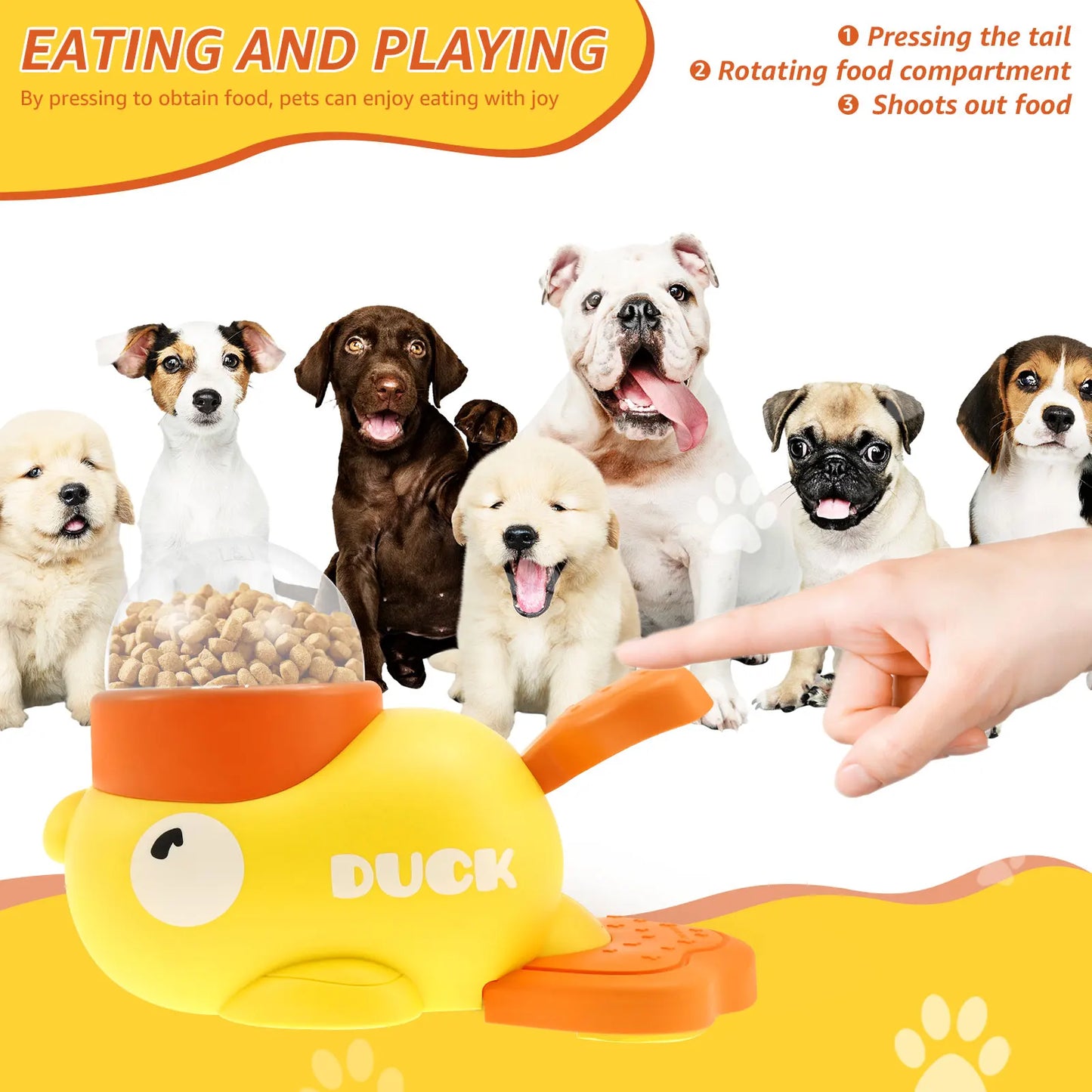 Automatic Dog Feeder